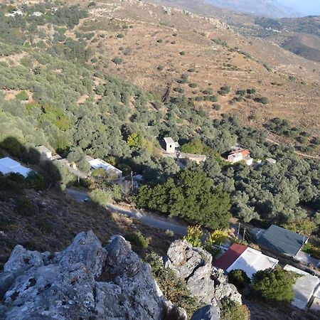Garden Of Olive Trees Villa Asfendiles Esterno foto