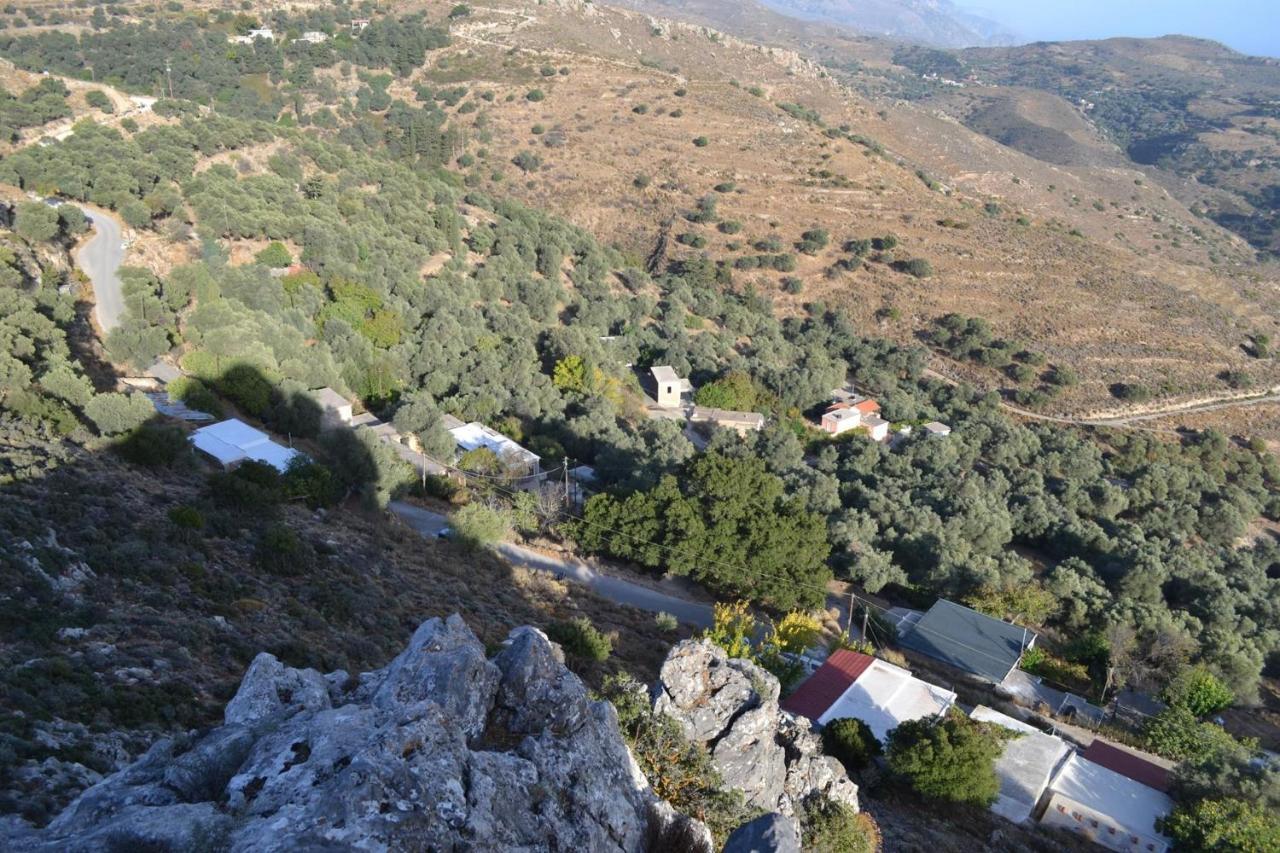Garden Of Olive Trees Villa Asfendiles Esterno foto